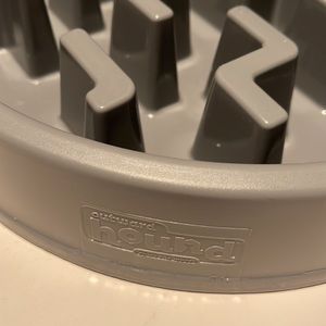 Outward Hound fun/slow feeding dish